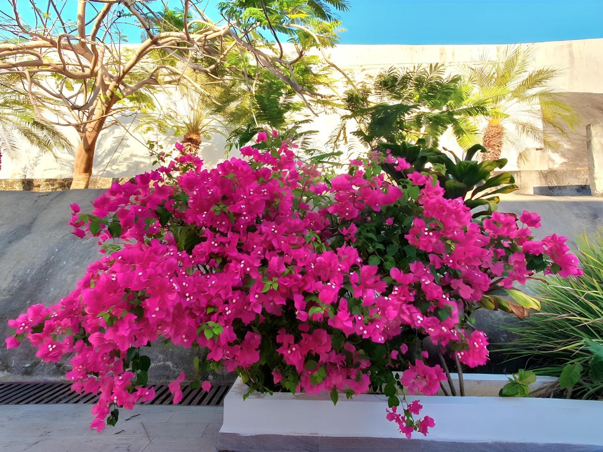 Beach Villa With Cozy Terrace Rio Hato Bagian luar foto